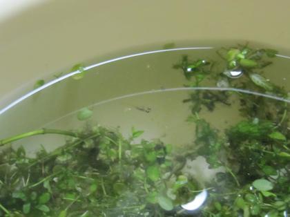 まさかの・・・