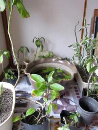 早く立去れ! 台風 2014/10/11 23:57:20
