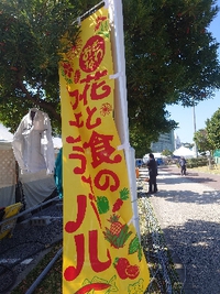 奥武山公園、花と食のフェスティバル 2023/01/21 13:07:21