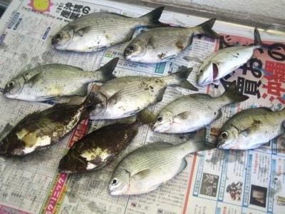 釣り。。。