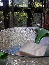 だまさないぞ ジャスミン 2006/06/08 09:56:12