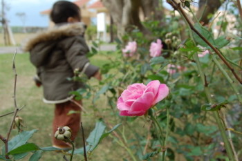 黄金森公園
