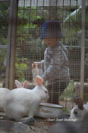 幼稚園面接