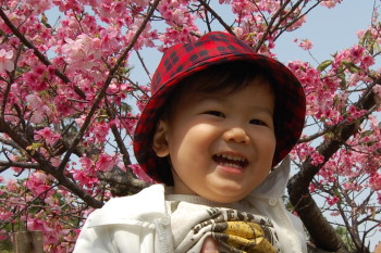 与儀公園