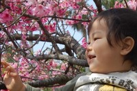 与儀公園