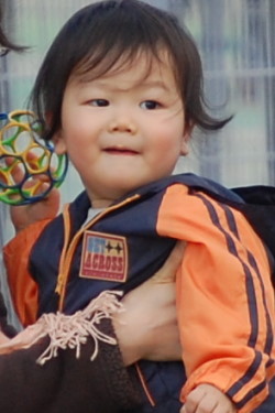 ハンドボーラー