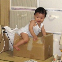 箱入りむすこ