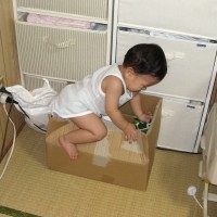 箱入りむすこ