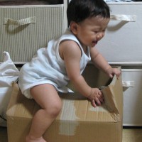 箱入りむすこ