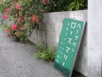 ハーフ゛喫茶