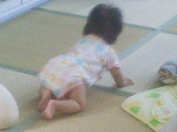 ハイハイするか！