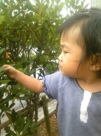 実２ 2009/10/15 17:38:01