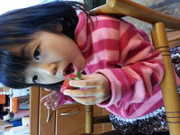 イチゴ 2013/01/26 08:29:43