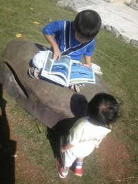 図書館 2009/11/15 15:26:11