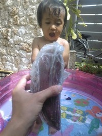 いも娘 2009/09/15 11:54:26