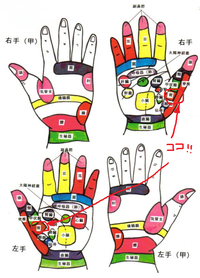 もしも、胃がもたれたら・・・