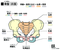 今年の目標