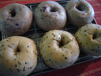 ベーグル食べたいな。。。 2008/04/17 06:05:38