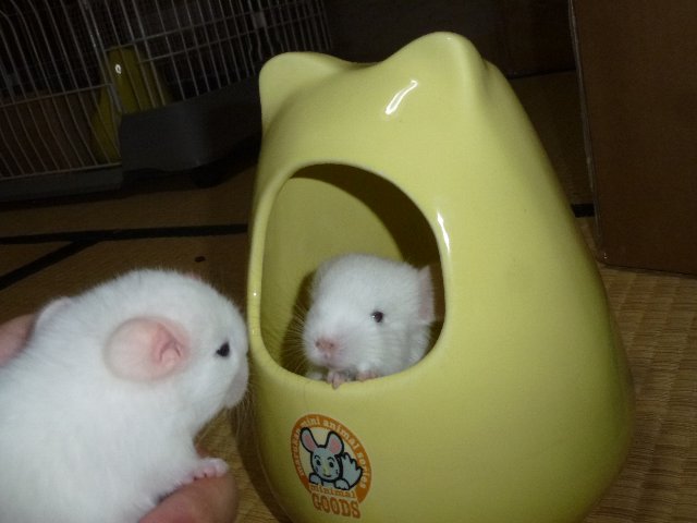 すき間がある