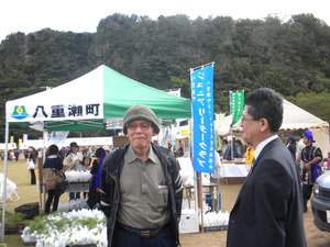 八重瀬町「桜まつり」を見学