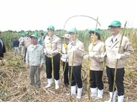 沖縄協議会宮古島視察 2011/03/06 19:13:00