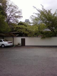寒くて外出が(^^;; 2011/04/19 21:41:17