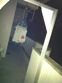爪跡パート2 2011/05/30 12:32:41