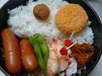 弁当⑤ 2011/06/14 21:23:06
