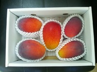 マンゴー大好評☆☆ 2012/07/03 15:57:50
