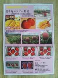 チラシが出来ました（＾◇＾） 2012/06/09 08:46:55
