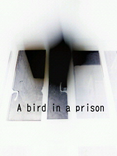 牢獄の中の鳥
