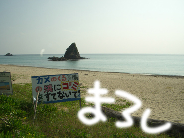 本日も晴れ。異状なし