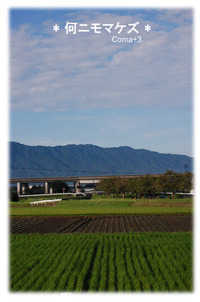 福岡 2011/09/10 21:28:45