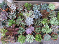 あれこれ 2010/10/13 17:38:05