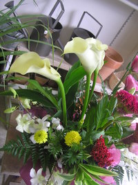敬老の日 2010/09/20 11:53:37