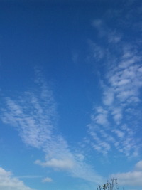 翼 2009/11/11 10:00:59