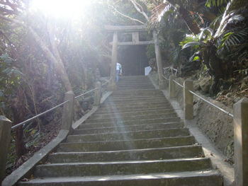 真美のスピ旅♪暖かな陽気に誘われて