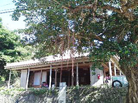 ムーチ日和