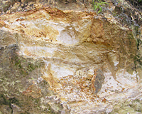 山原紀行　２（土採取編）