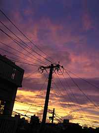 夕焼け日和