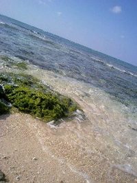海