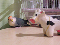 グラとウシ君（グラ劇場）