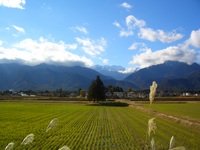 本日の安曇野は、小春日和の秋景色です