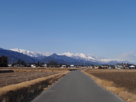 2009年も澄み切った青空です！