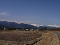春の嵐の後