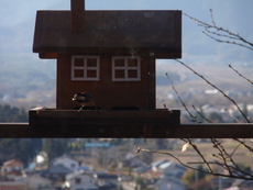 口コミで伝わる絶景おうちカフェ「わきざか」