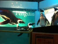 かわじの後は、ペンギンBAR