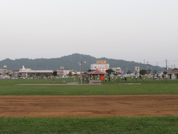 夜明け後の公園