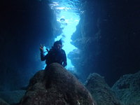 青の洞窟体験ダイビング！
