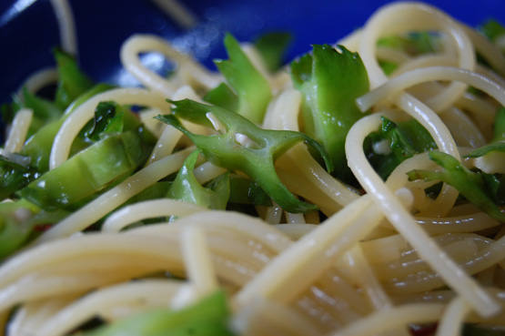 うりずん豆のパスタ